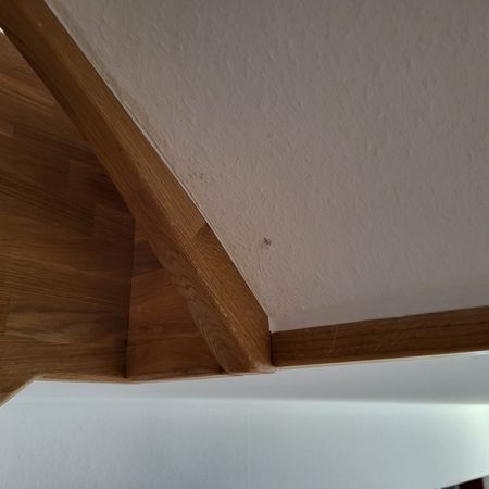 weitere Impressionen