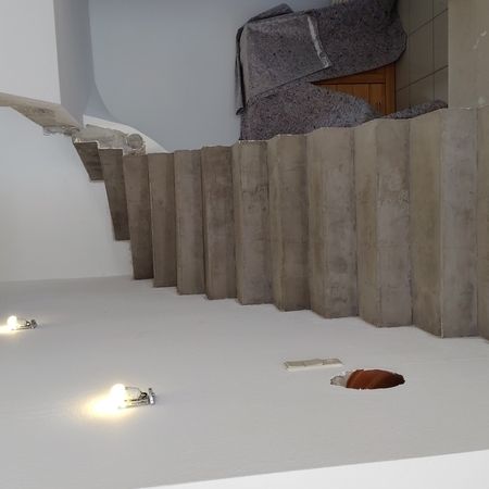 weitere Impressionen